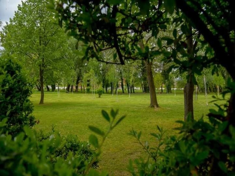 Прва еднодневна истражувачка акција во 2023