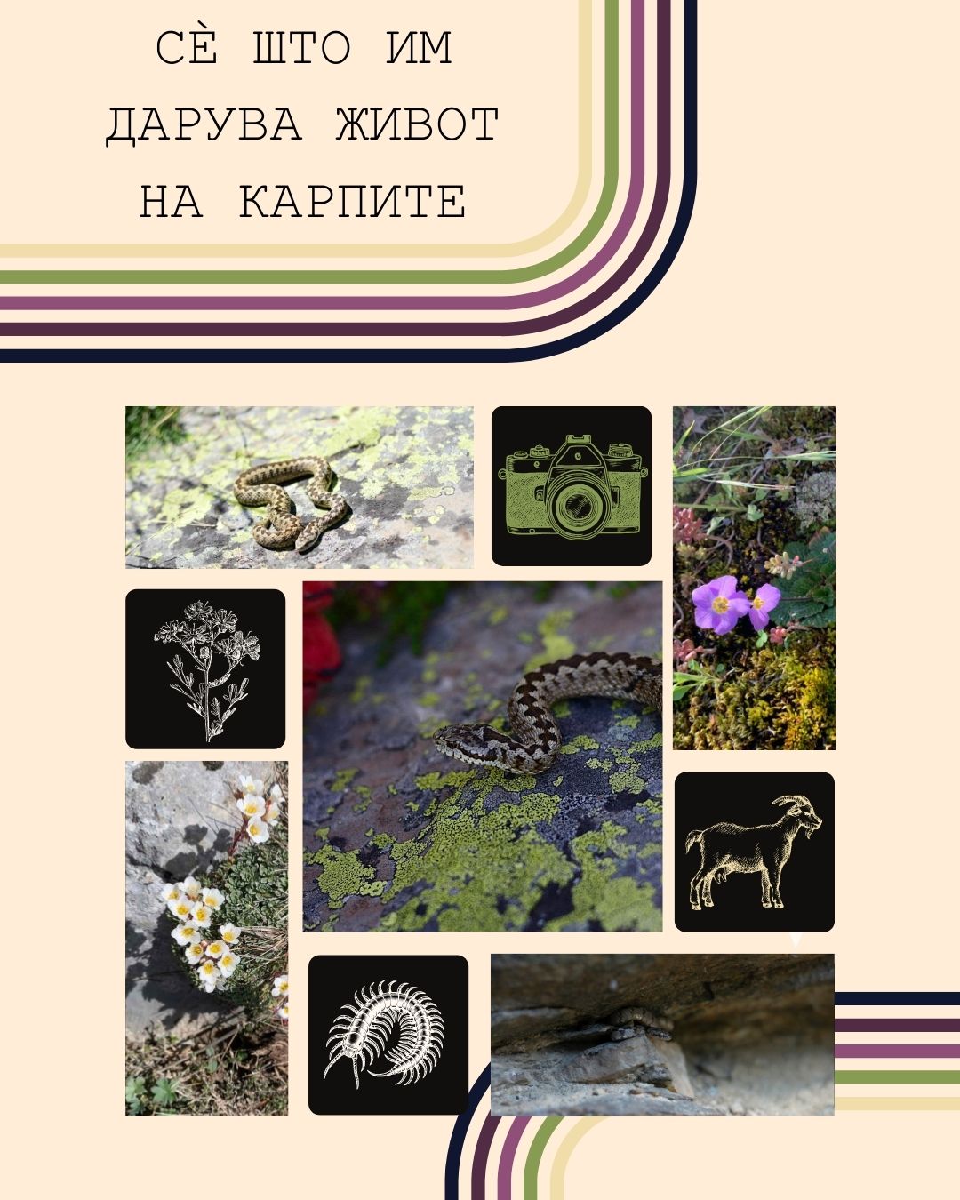 Биофотоконкурс 2024