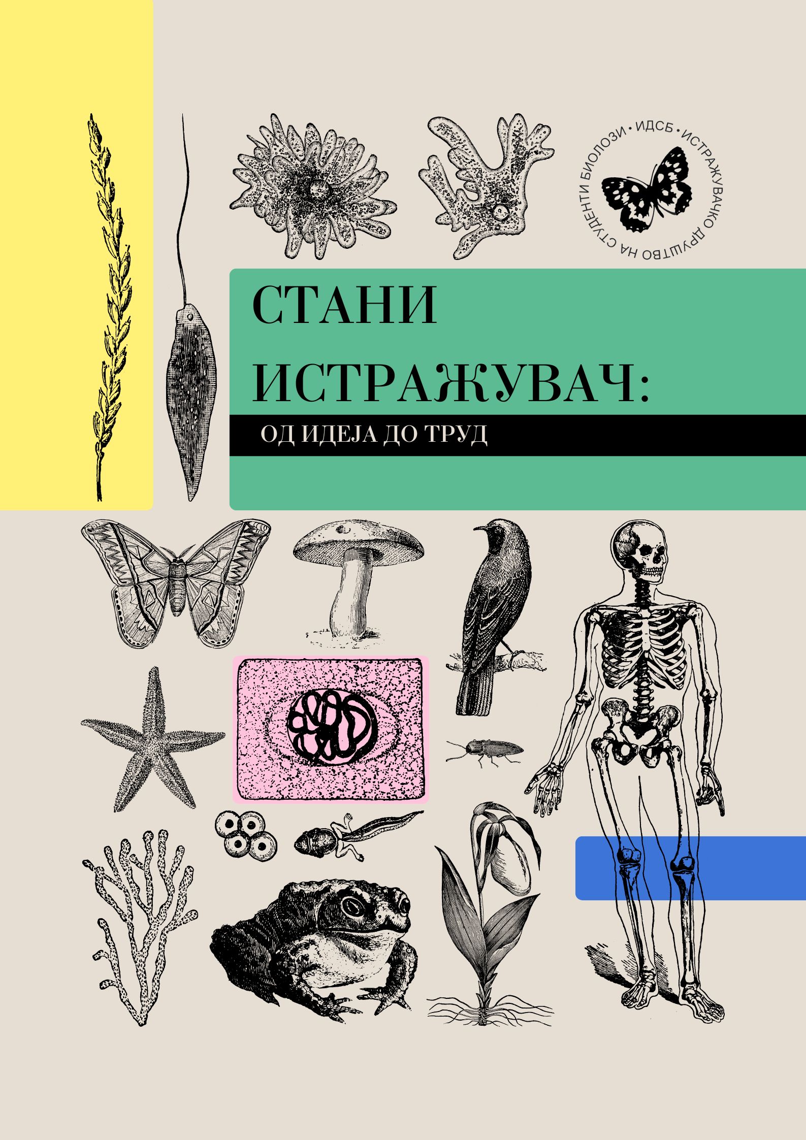 СТАНИ ИСТРАЖУВАЧ: од идеја до труд